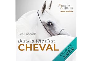 Dans la tête d'un cheval