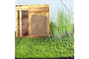 ZUQOVI 3 Bags Aquarium Plant S.e.e.d Set, not aritifical Plastic, Fresh Water Grass for Fish Tank 5qqw