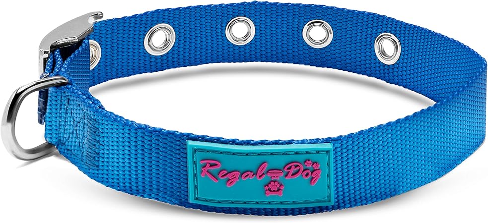 nylon dog collars with metal buckle
