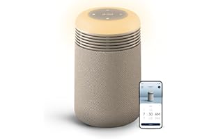 Blueair Mini purificateur d'air réparateur