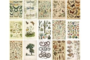 30 Sheets Vintage Nature Scrapbook Paper Pack, 15 Botanical/Insect Patterns -Decorative Material for Junk Journal, DIY Album 