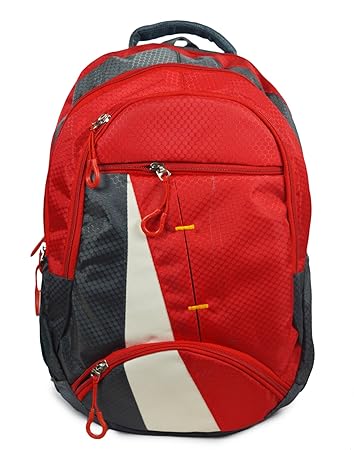 Shaina Bags Nylon 25 Ltr Red & Grey Laptop Backpack