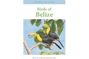 Birds of Belize