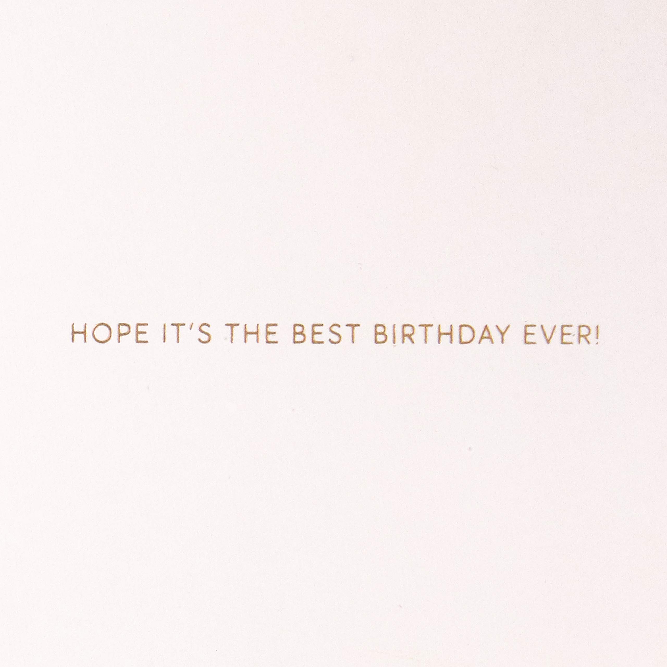 Hallmark Signature Birthday Card (Best Birthday Ever)