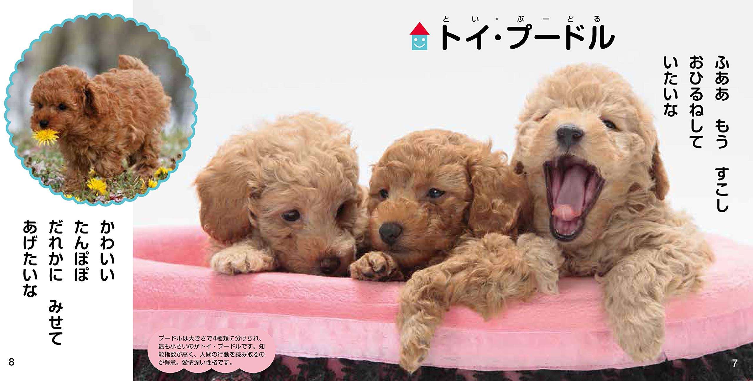 かわいいこいぬ なかよし写真えほん 豊文 福田 本 通販 Amazon