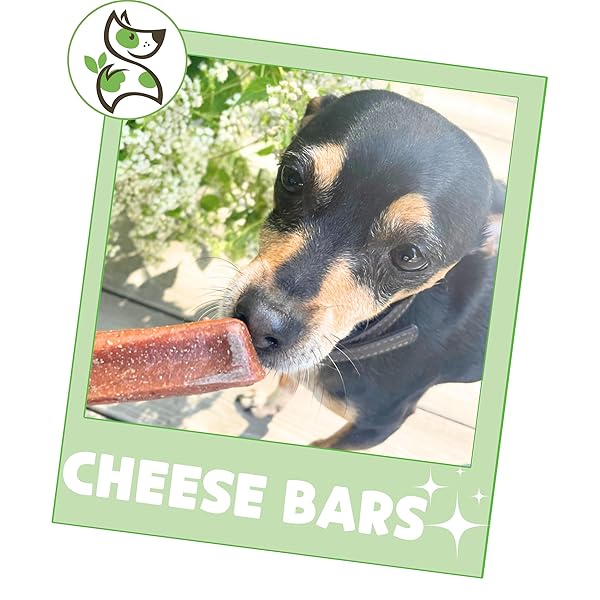 NATURE GNAWS BACON CHEESE BAR CHEWS FOR DOGS (4 COUNT) – HARD LONG LASTING FOR AGGRESSIVE CHEWERS – RAWHIDE FREE DOG CHEW BONES – YAK ALTERNATIVE