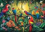 HUADADA Jigsaw Puzzles for Adults 1000