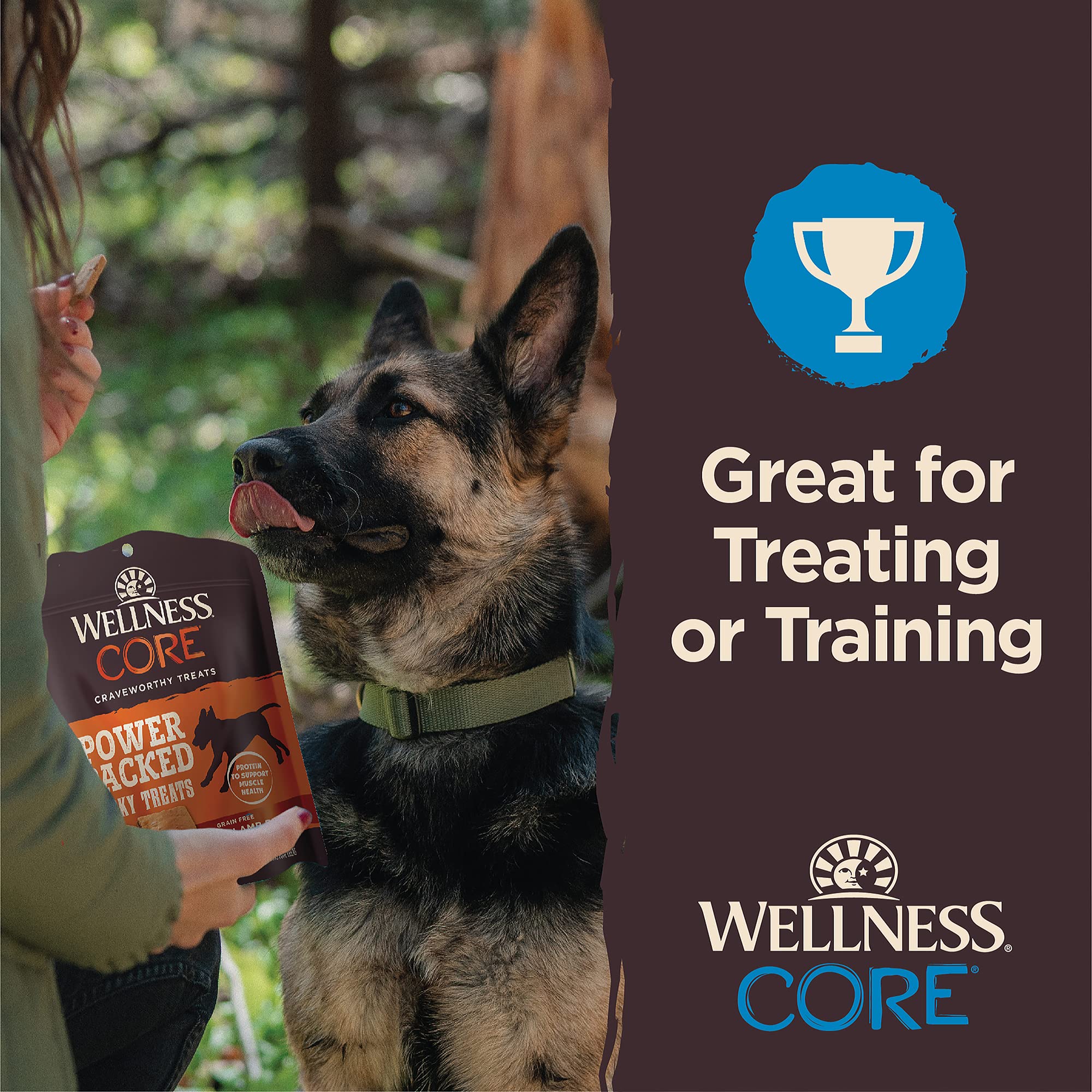 Wellness CORE Pure Rewards, GrainFree Tender Jerky Treats, Made in USA