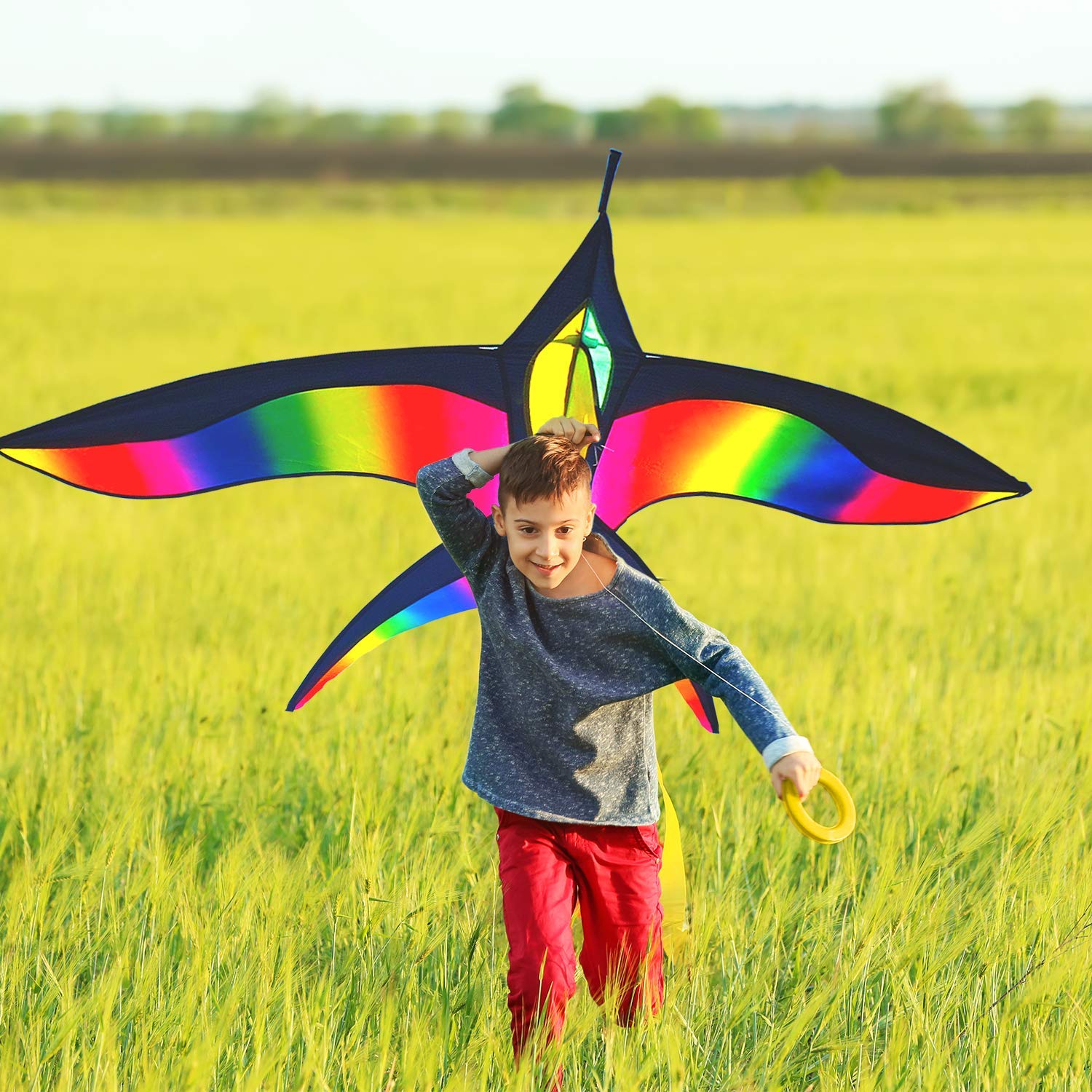 Buy Stoie's Giant Rainbow Delta Kite Bird Kite for Kids Ages 4812