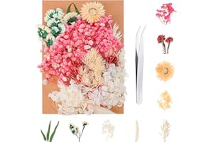 QSCFKL Real Dried Flowers, Natural Dried Flowers Mixed,Natural Pressed Flowers Decorative Dried Flowers for DIY Candle Resin Jewelry Nail Pendant Crafts Making (Pink Sreies 1)