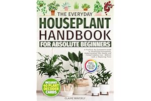 The Everyday Houseplant Handbook for Absolute Beginners: A Practical, No-Guesswork Guide to Identifying Houseplants, Understa