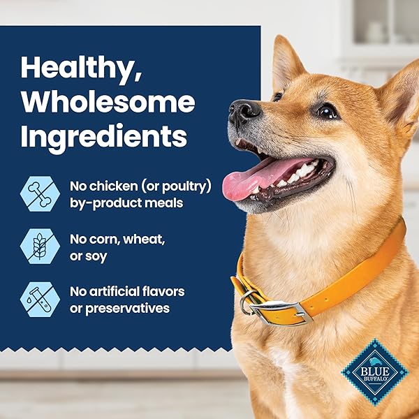 BLUE BUFFALO MEDIUM DENTAL CHEWS FOR DOGS, DAILY DENTAL CARE DOG TREATS MADE IN THE USA WITH NATURAL INGREDIENTS, CHICKEN & SPEARMINT (14 COUNT)