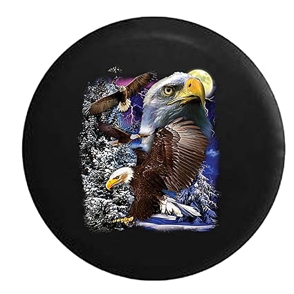 Amazoncom American Bald Eagle Winter Moonlight Nature