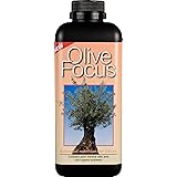 Olive Focus Liquid Concentrated Fertiliser 1 Litre