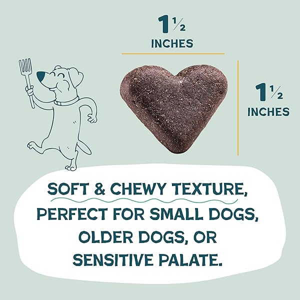 SHAMELESS PETS SOFT-BAKED DOG TREATS, BANANAS FOR BACON – NATURAL & HEALTHY DOG CHEWS FOR SKIN & COAT SUPPORT WITH OMEGA 3 & 6 – BISCUITS BAKED & MADE IN USA, FREE FROM GRAIN, CORN & SOY – 1-PACK