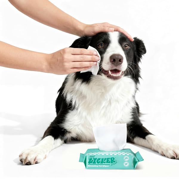THE LICKER STORE PWP1008A-6SET MINI DOG BODY WIPES, HYPOALLERGENIC PET GROOMING WIPES WITH ALOE VERA, CHAMOMILE & SHEA BUTTER, FOR PAWS, FACE & BODY, CLEANING & HYDRATING, 288 COUNT (6 BAGS)