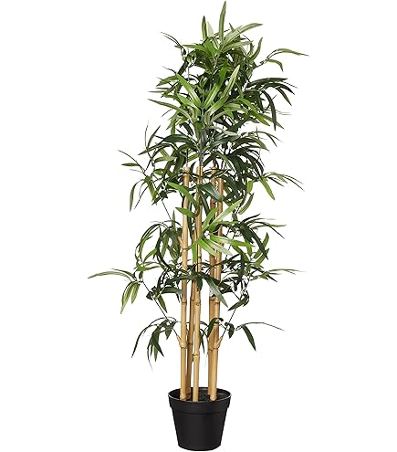 Amazon.com: IKEA Artificial Potted Plant, House Bamboo, 11 Inch :  Everything Else