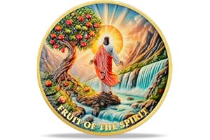 RYUKENLM Fruit of The Spirit Christian Challenge Coin Galatians 5:22-23 Verse Religious Faith Token Inspring Christian Gift f