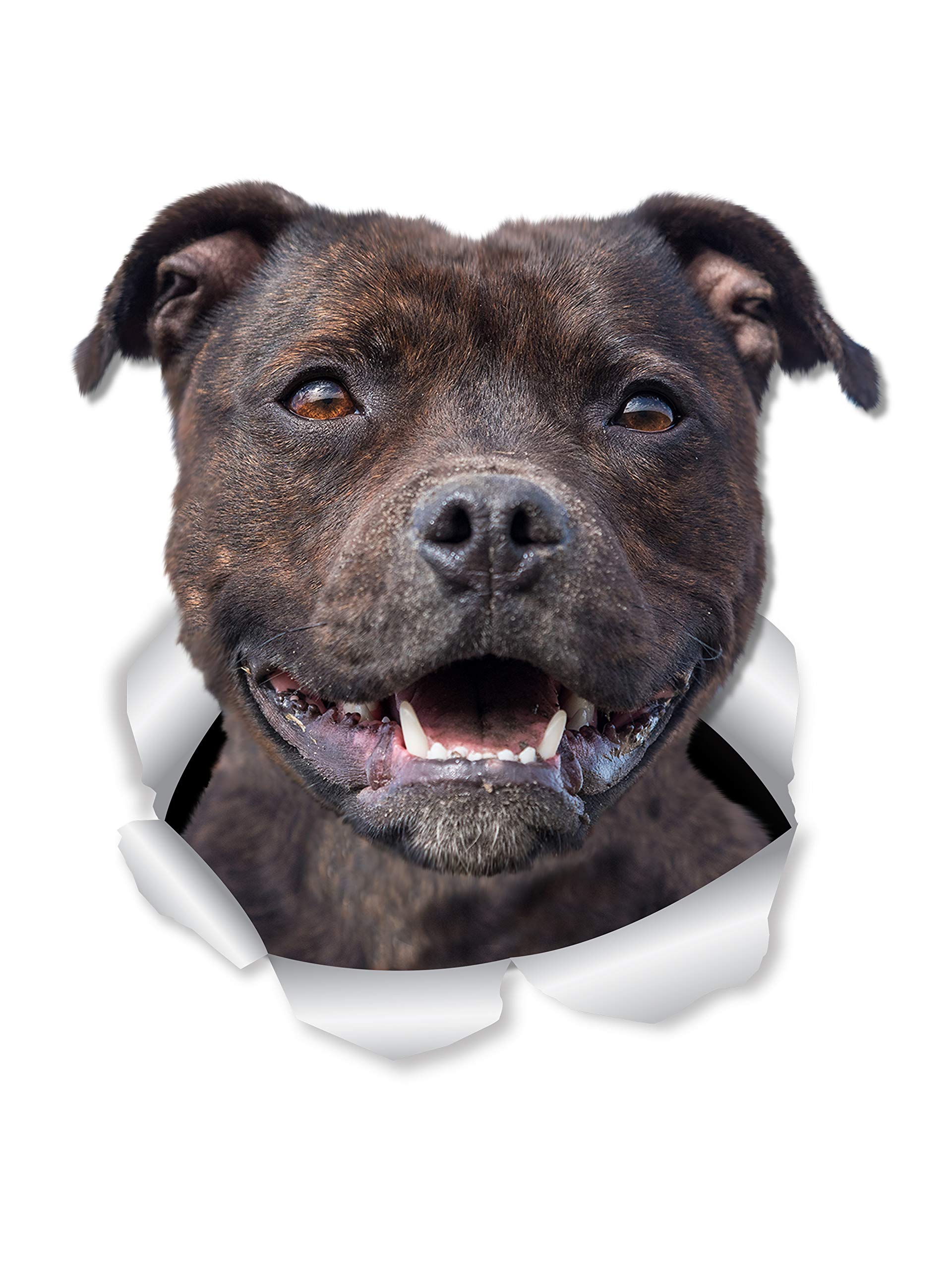 Winston & Bear Happy Staffie Dog Wall Decals - 2 Pack - American Staffordshire Terrier 3D Sticker Decals for Walls, Cars, Toilet and More - Retail Packaged Staffie Gifts