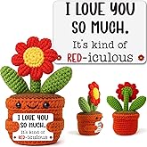 BackURyear Gifts for Her Wife Girlfriend, Handmade I Love You Anniversary Wedding Valentine’s Day Birthday for Women Couple, Romantic Mini Crochet Red Flower Present