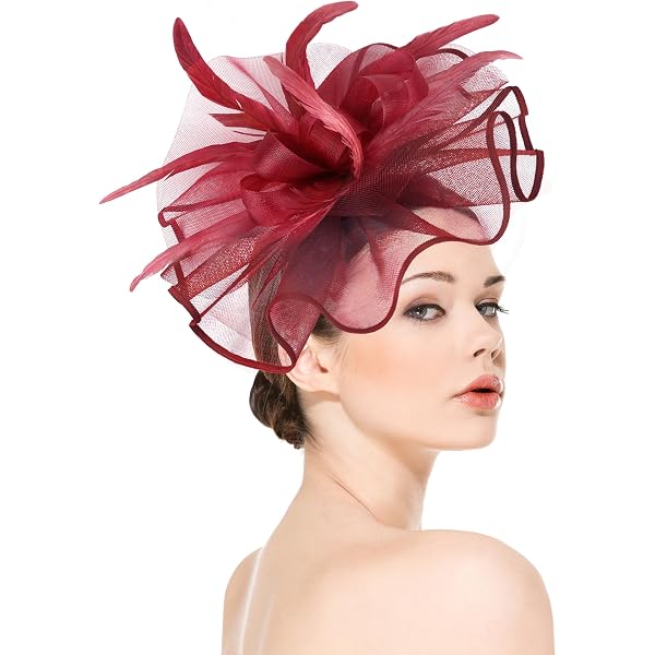 dressfan Womens Church Derby Fascinator Hats,20s 50s Vintage  display picture 3