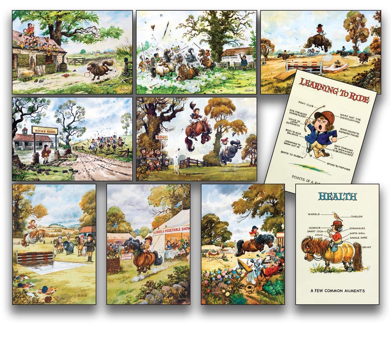 Thelwell 10 pony notecards with envelopes. A great horse, equestrian gift. Perfect for Thank you letters, invites etc