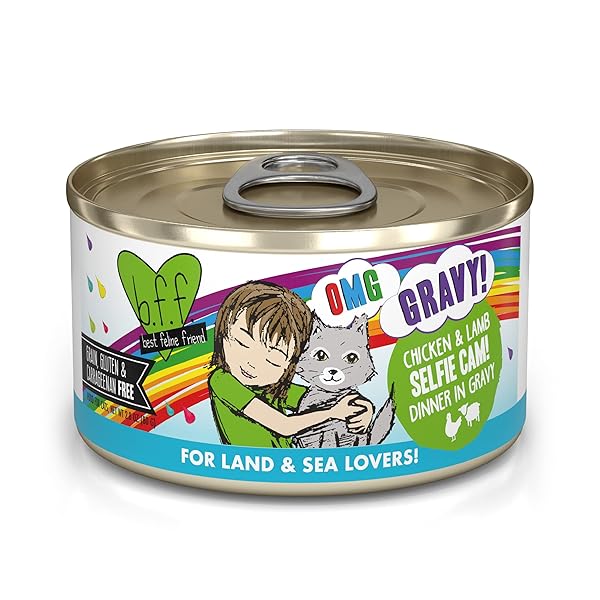 WERUVA B.F.F. OMG – BEST FELINE FRIEND OH MY GRAVY!, SELFIE CAM! WITH CHICKEN & LAMB IN GRAVY CAT FOOD, 2.8OZ CAN (PACK OF 12)