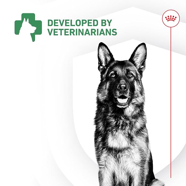 ROYAL CANIN PROBIOTICS FOR DOGS DIGESTIVE AND IMMUNE HEALTH POWDER SUPPLEMENT FOR DOGS OF ALL AGES, 30 COUNT