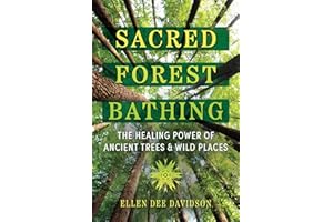 Sacred Forest Bathing: The Healing Power of Ancient Trees and Wild Places