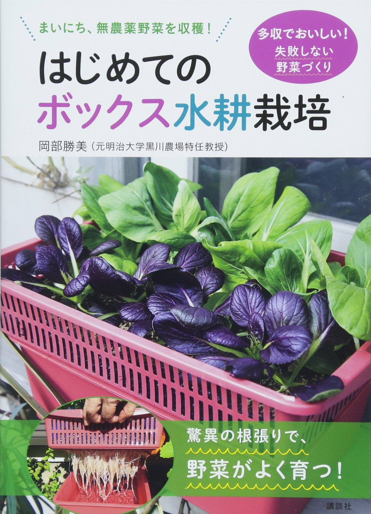 はじめてのボックス水耕栽培 まいにち 無農薬野菜を収穫 Amazon Com Books