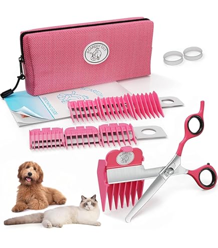 Amazon.com: No Buzz Clipper + Sharpener by Scaredy Cut Silent Home