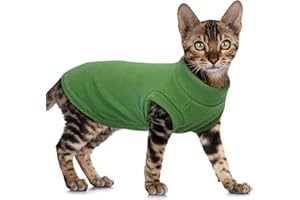 PUMYPOREITY Fleece Sphynx Cat Clothes, Warm Thick Cat Sweater, Soft Winter Coat for Hairless Cats, Cold Weather Pet Sweater for Dogs and Cats, Green, L