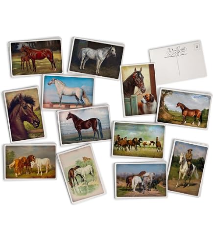 Lots Carte Postales Chevaux pas cher - Meilleures ofes sur le neuf et l'occasion