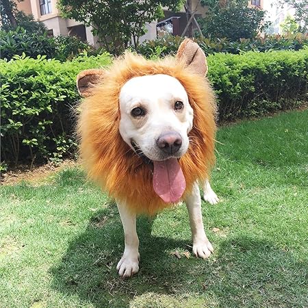 PBPBOX Löwe Mähne Löwenmähne Hundekostüm mit offenen Ohren für Weihnachten oder Kleidung Festival