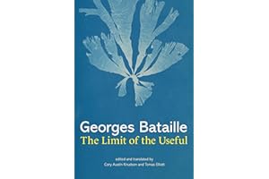 The Limit of the Useful