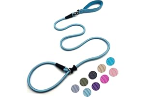 MOTAITY Slip Lead Dog Leash(6ft)，Strong Nylon Rope Leash Anti-Choking Anti-Pull and Outdoor Walking Training Lead for Small Medium Large Dogs (Light Bule, 1/2"×6ft)