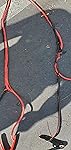 Review Image by Anonymous0000