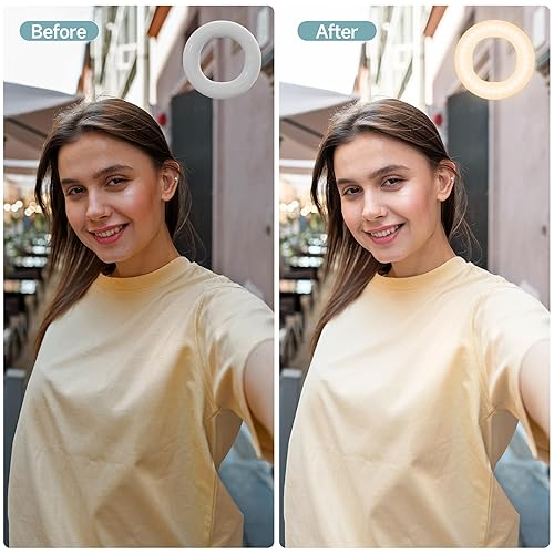 Clip on Ring Light, Rechargeable Selfie Fill Light, Portable Selfie Ring  Light with Adjustable Light Modes,