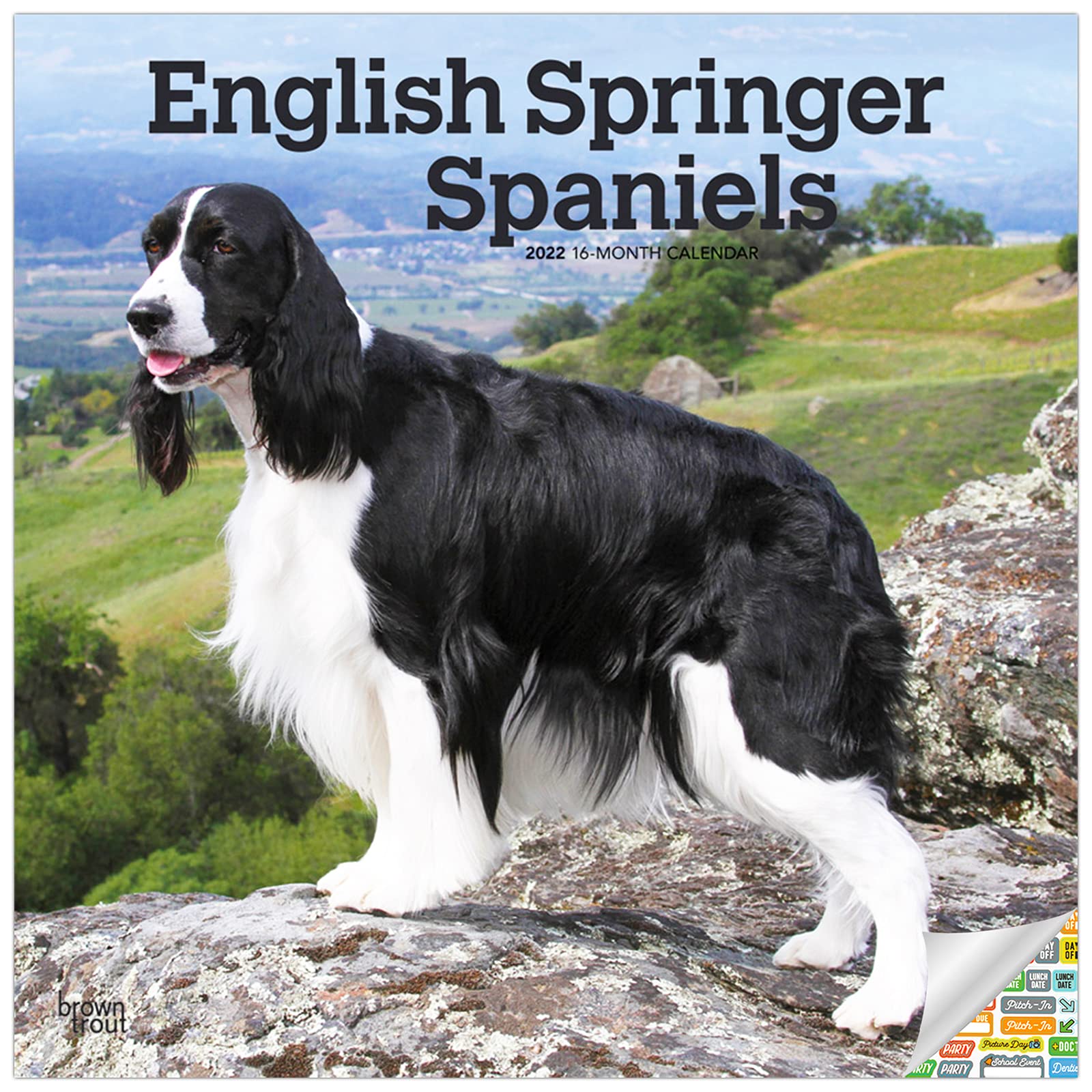 springer spaniel gifts amazon
