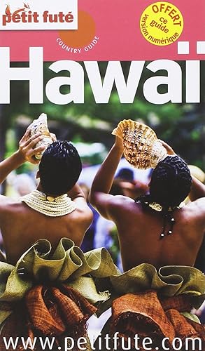 Download Petit Futé Hawai PDF