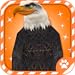 Virtual Pet Bald Eagle