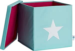 STORE.IT 672265 – Caja de almacenaje (con Tapa, Verde Menta ...