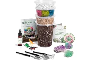 Creations by Nathalie – DIY Large Terrarium Starter Kit with Soil, Moss, Pebbles, Healing Crystal, Tools & Supplies – Terrarium Kit for Adults & Kids, Handcrafted in USA