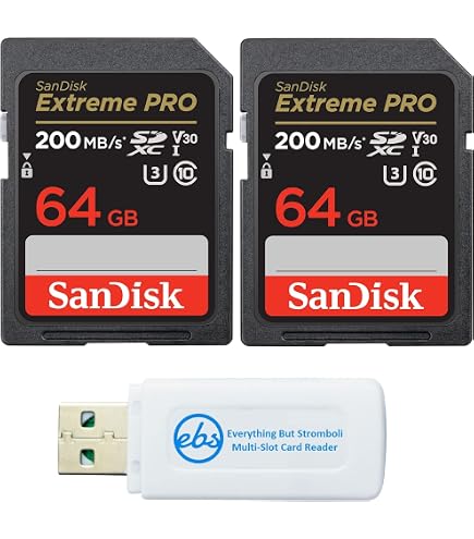 Amazon.com: SanDisk 32GB SD Extreme Pro Memory Card (Two Pack