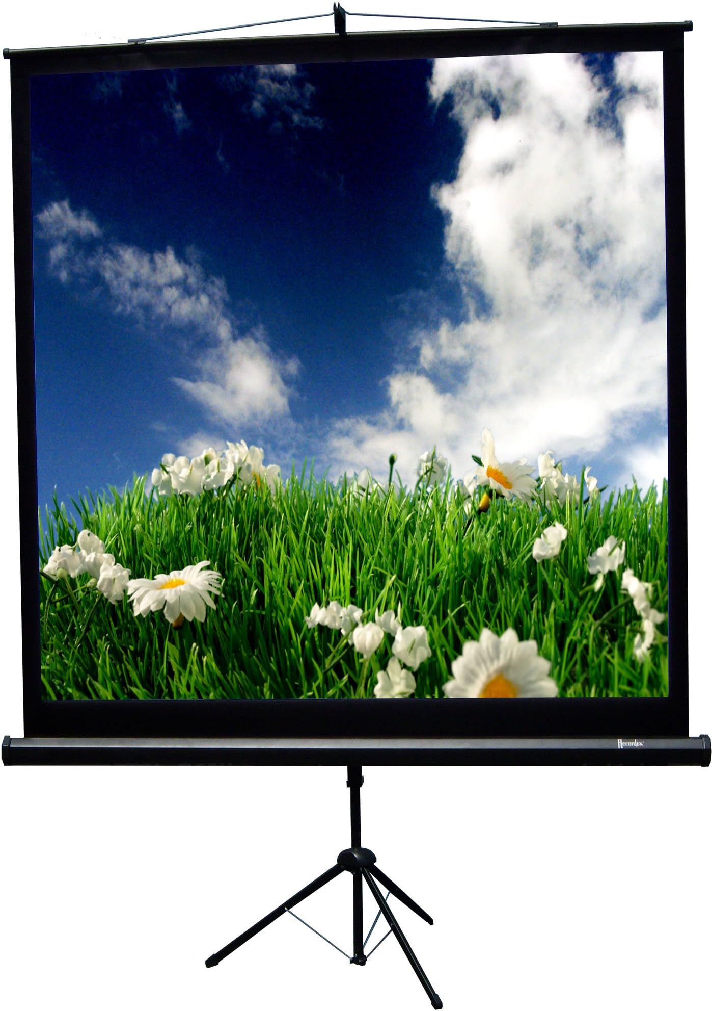 Matte White Portable Projection Screen Viewing Area: 60" H x 60" W