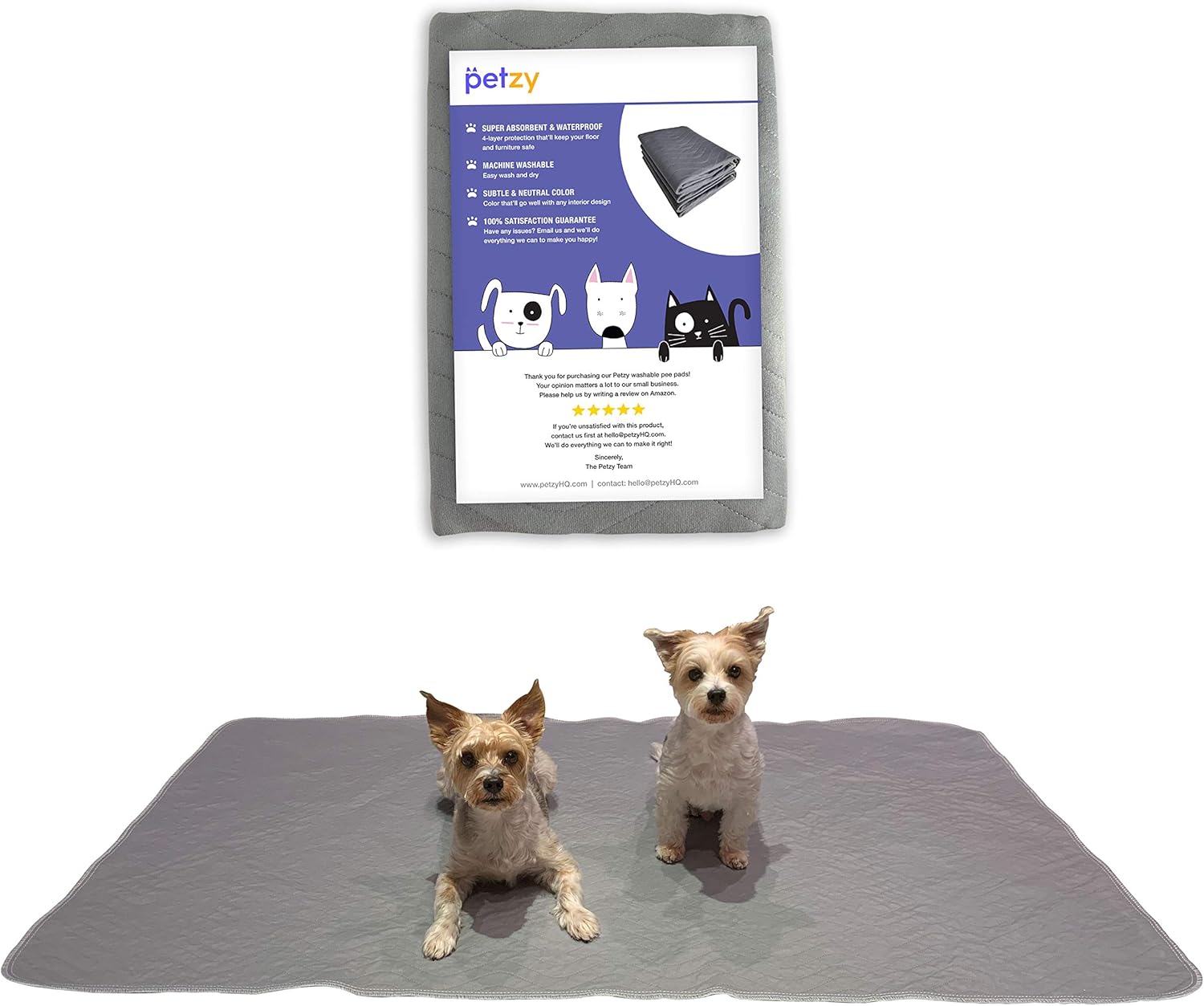 happy pack dog training