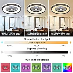 KAMLAM 24" Low Profile Ceiling Fans with
