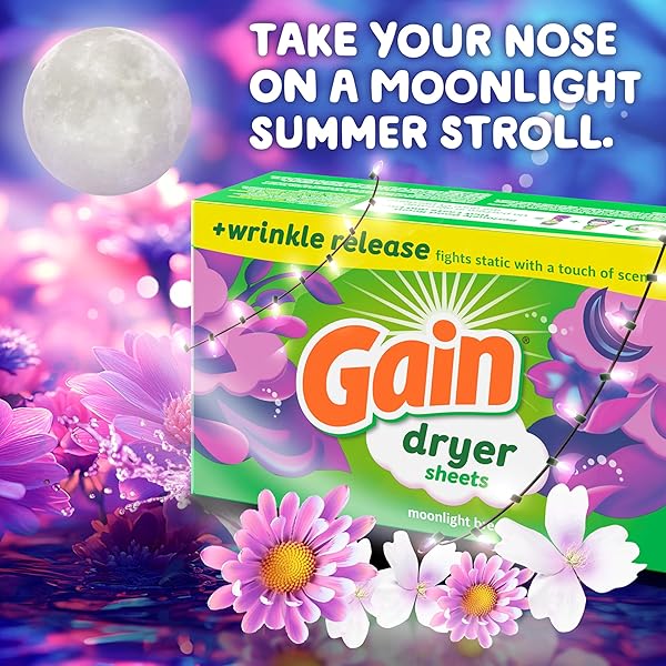 GAIN MOONLIGHT BREEZE ANTI STATIC DRYER SHEET, FOR LAUNDRY WRINKLE CARE, 240 COUNT