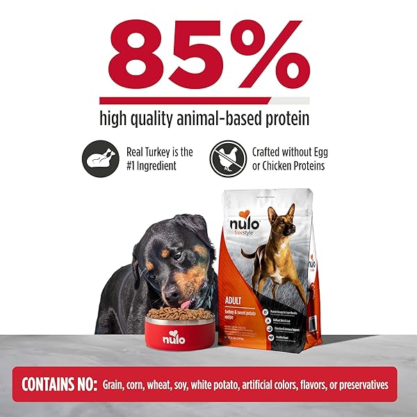 NULO FREESTYLE ADULT DRY DOG FOOD – TURKEY & SWEET POTATO, PREMIUM GRAIN FREE DOG FOOD WITH PROBIOTICS FOR HEALTHY GUT, SKIN AND COAT, NATURAL HIGH PROTEIN KIBBLE FOR SMALL, MEDIUM, LARGE BREEDS, 6LB