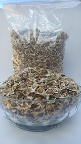 Raw Seeds Moringa Oleifera Seeds Pure Organic Non GMO 510 x view 4